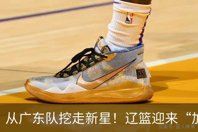 从广东队挖走新星！辽篮迎来“加强版杜润旺”，杜锋失去锋线人才